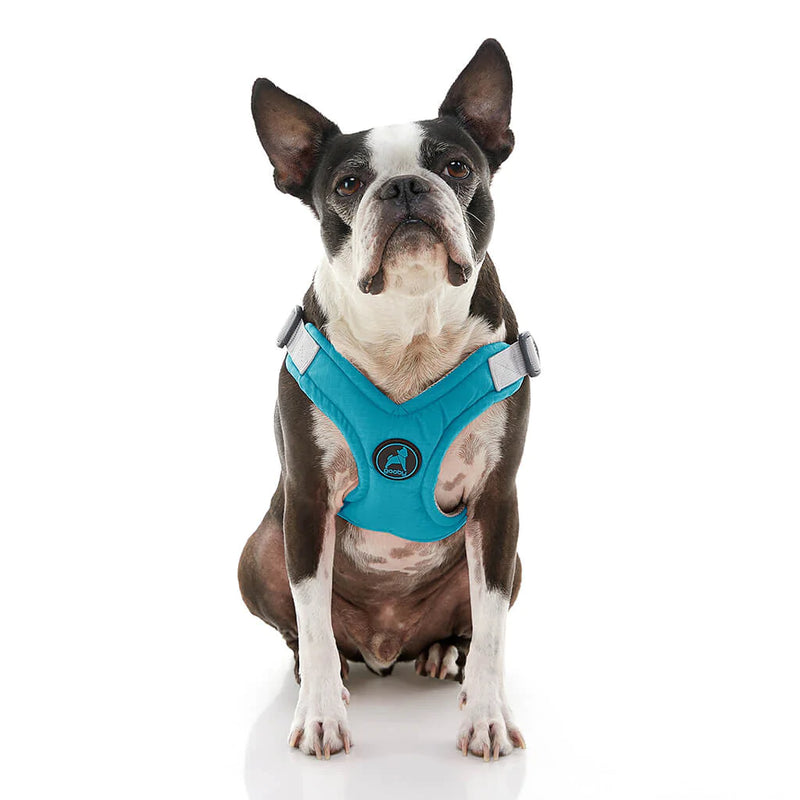Gooby Memory Foam Step In Harness Turquoise Decker s Dog Cat