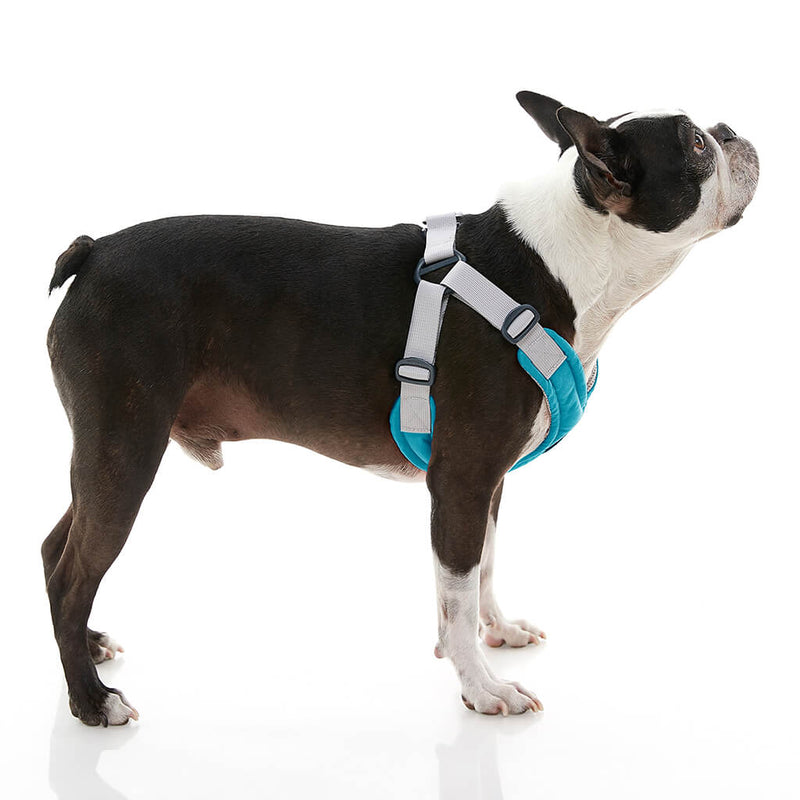 Gooby Memory Foam Step-In Harness Turquoise