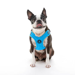 Gooby Escape Free memory foam Harness Blue