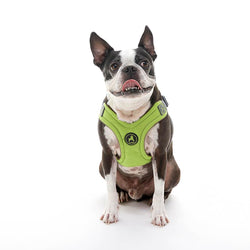 Gooby Escape Free memory foam Harness Green