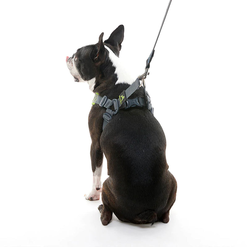 Gooby Escape Free memory foam Harness Green