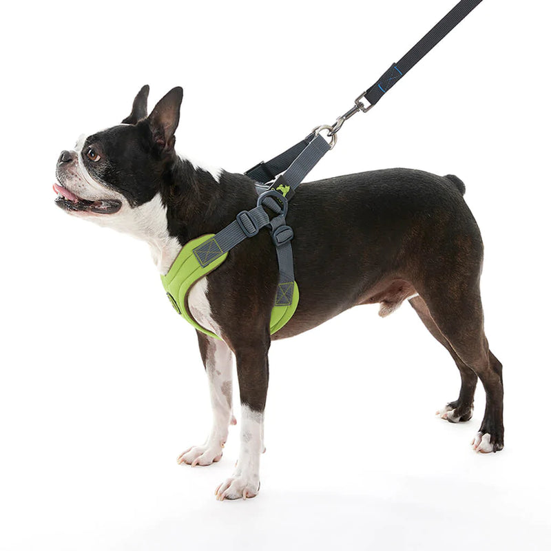 Gooby Escape Free memory foam Harness Green Decker s Dog Cat