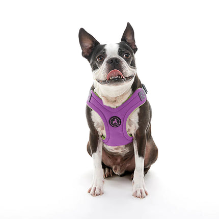 Gooby Escape Free memory foam Harness Purple