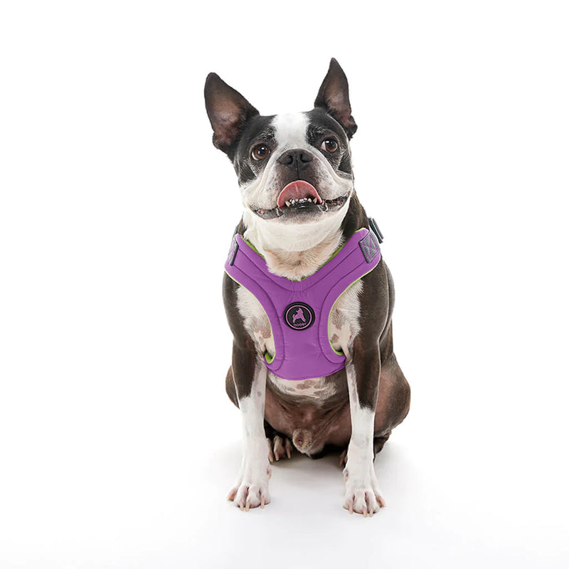Gooby escape sales free dog harness