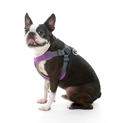 Gooby Escape Free memory foam Harness Purple