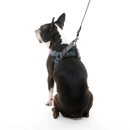 Gooby Escape Free memory foam Harness Purple