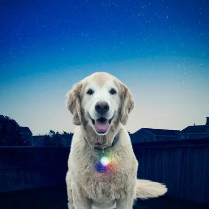 Nite Ize SpotLit Disc-0 Select