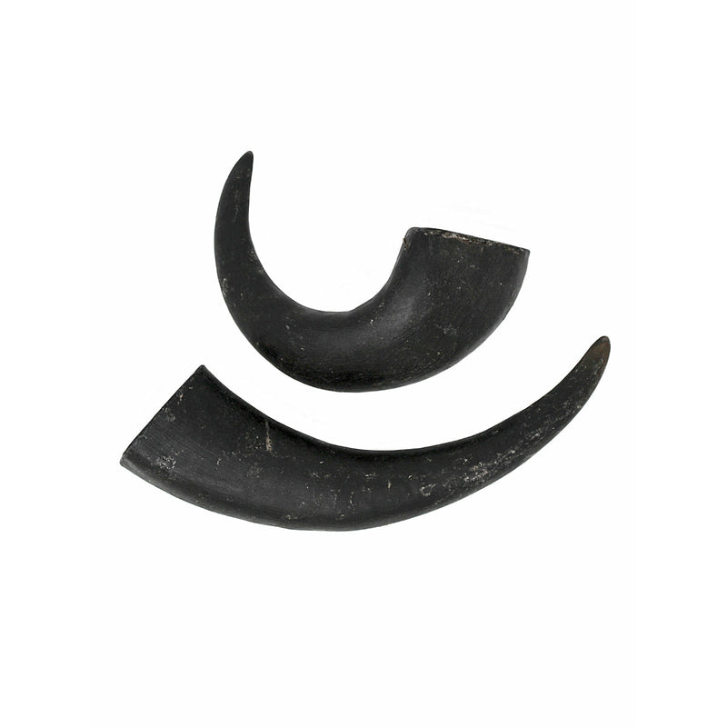 PeaksNPaws Buffalo Horn