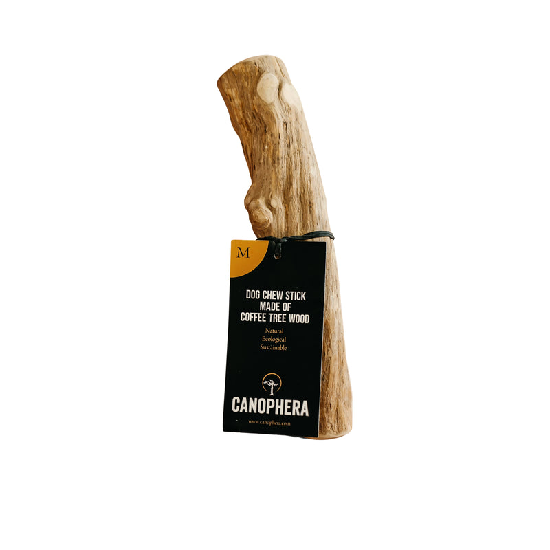 Canophera Natural wood chew stick