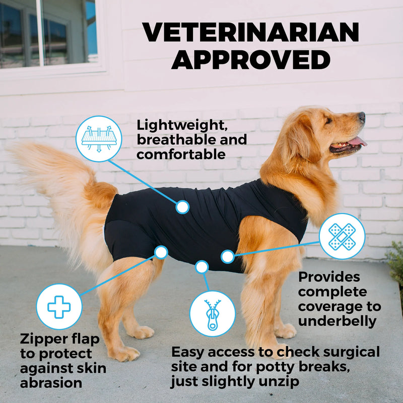 Shed defender for 2024 dogs