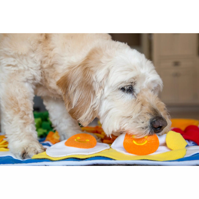 Breakfast Platter Snuffle Dog Toy