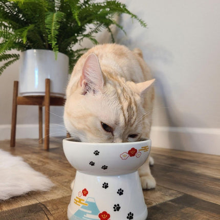 Necoichi Fuji Limited Edition Cat Raised Food Bowl