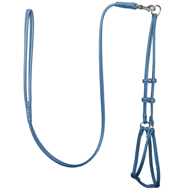 DogLine Round Step-In Harness With Leash Combo Blue