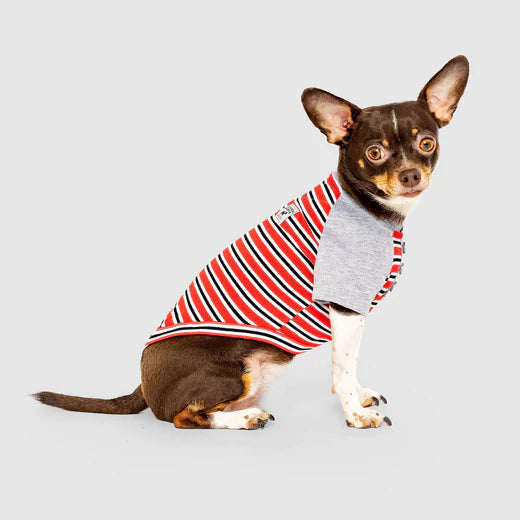 Canada Pooch Not Your Basic Tee Red Stripes