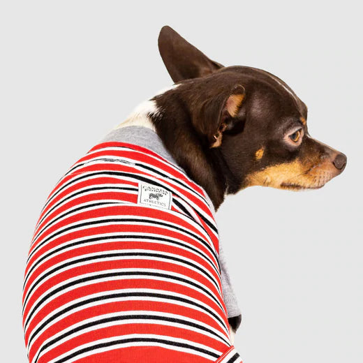 Canada Pooch Not Your Basic Tee Red Stripes