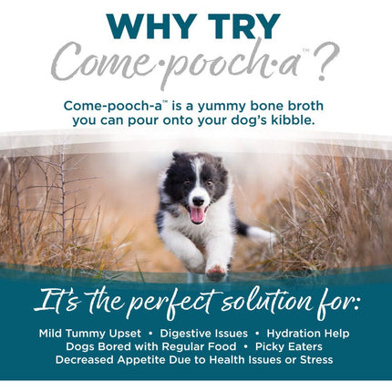 NutriSource Come•pooch•a - Chicken Bone Broth