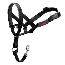 Halti Headcollar Black