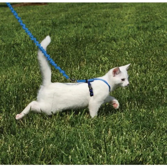 Petsafe Come With Me Kitty Harness Royal Blue/Navy