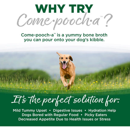 NutriSource Come•pooch•a - Turkey Bone Broth