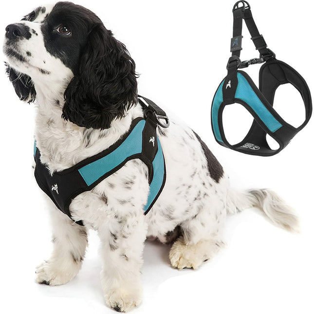 Gooby Easy Fit Harness Turquoise