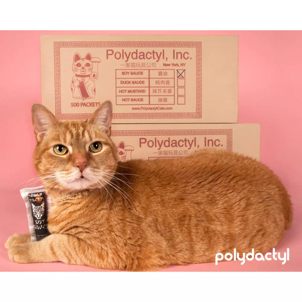 Polydactyl - Soy Sauce Takeout Packet Catnip Toy