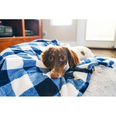 Tall Tails Navy Plaid Blanket 30x40