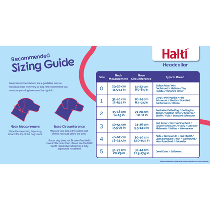 Halti Headcollar Black