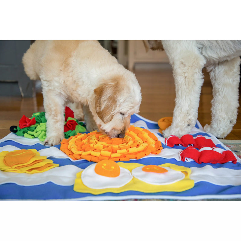 Injoya Breakfast Snuffle Mat