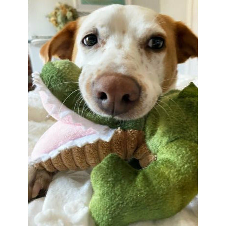 Tall Tails Plush Crunch Gator 15"