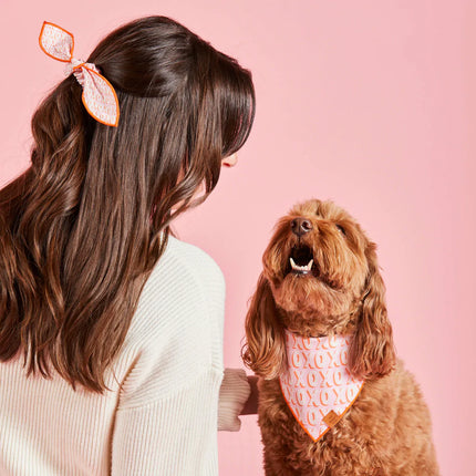 The Foggy Dog Bandana - Hugs and Kisses