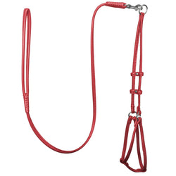 DogLine Round Step-In Harness With Leash Combo Red