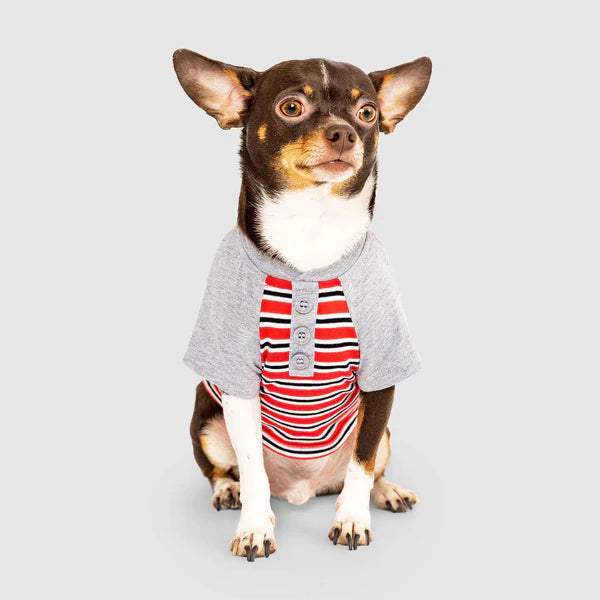 Canada Pooch Not Your Basic Tee Red Stripes