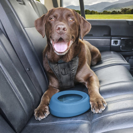 Kurgo Splash Free Wander Bowl Blue