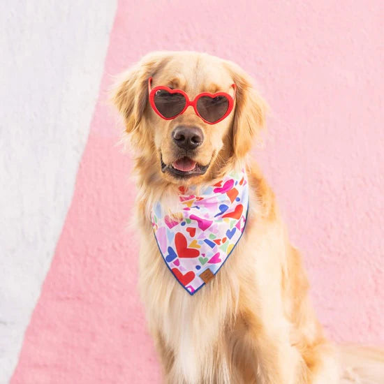 The Foggy Dog Bandana - Heart to Heart