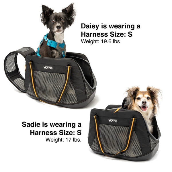 Kurgo Explorer Dog Carrier Black