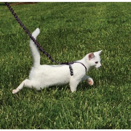 Petsafe Come With Me Kitty Harness Black/Silver