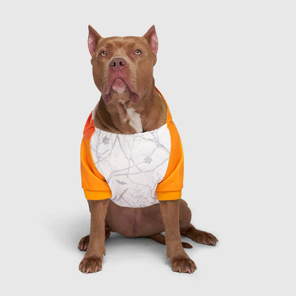 Canada Pooch whatever the weather camo hoodie