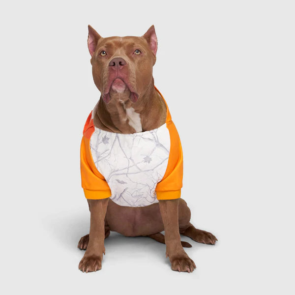 Canada Pooch whatever the weather camo hoodie