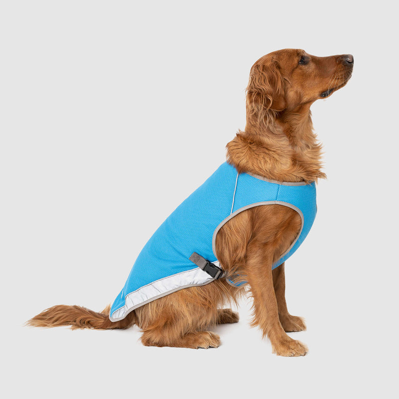 Canada Pooch Chill Seeker Cooling Vest Blue