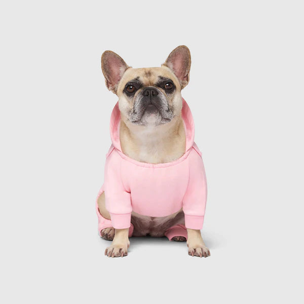 Canada Pooch Soft Side Sweatsuit Pink
