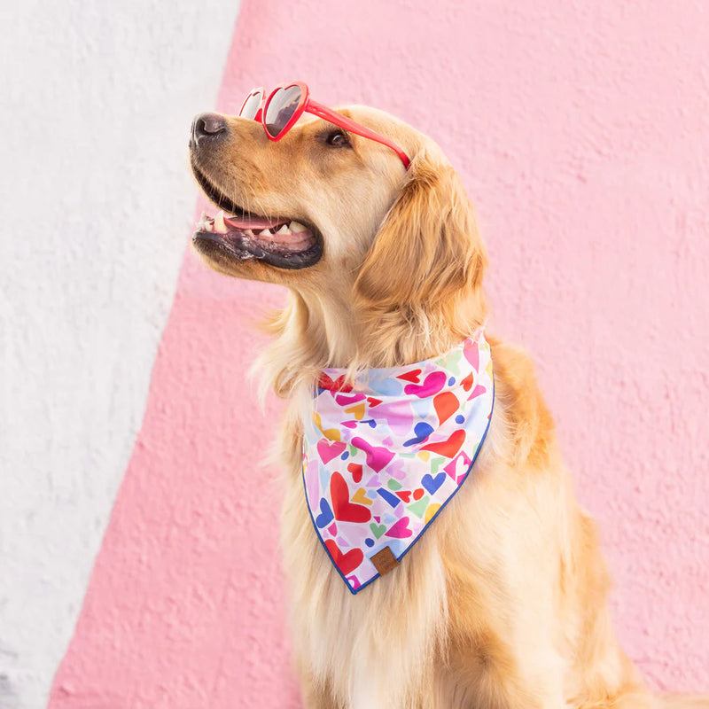 Foggy dog best sale bandana