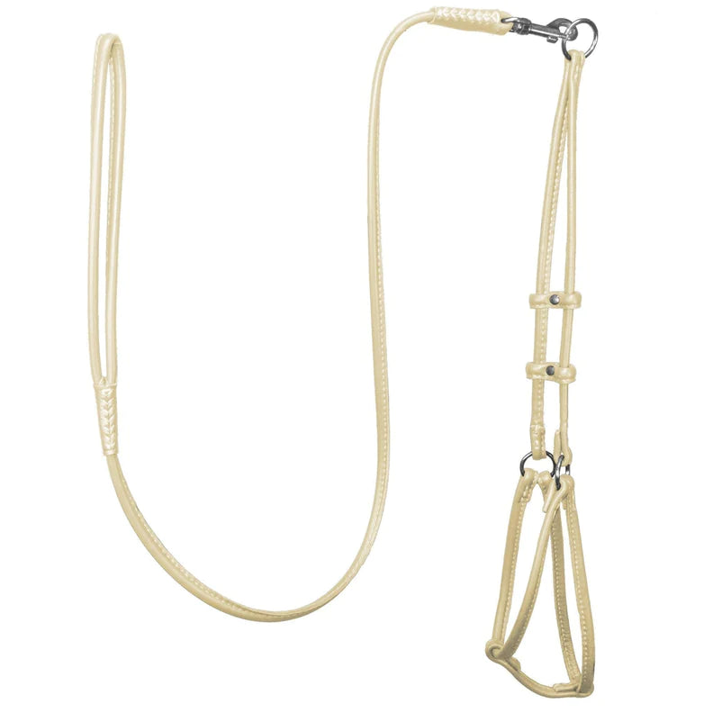 DogLine Round Step-In Harness With Leash Combo Beige