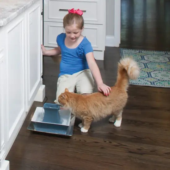 PetSafe Drinkwell Pet Fountain - Pagoda Fountain Blue