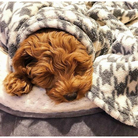 Tall Tails Fleece Blanket Houndstooth 30x40