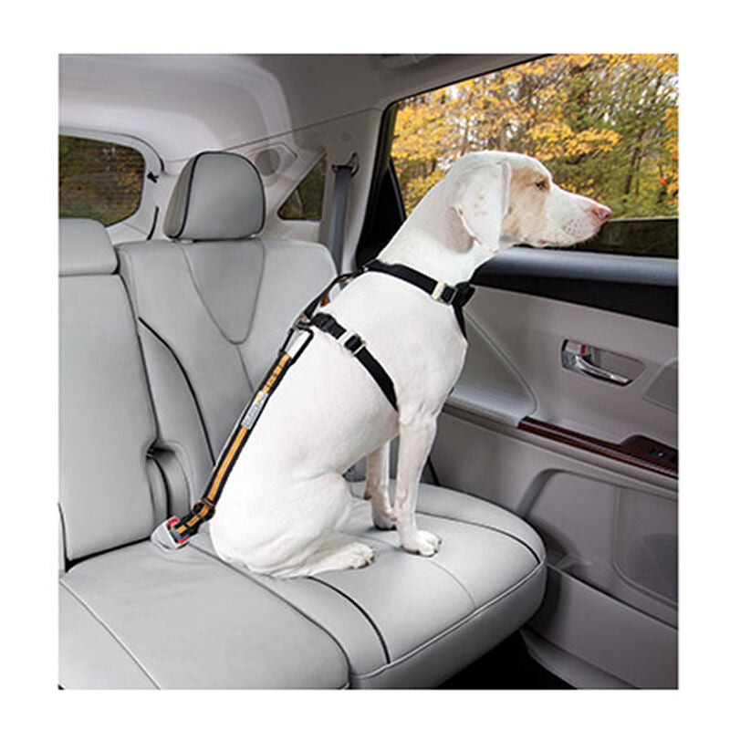 Kurgo Seatbelt Tether