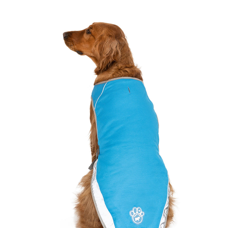 Canada Pooch Chill Seeker Cooling Vest Blue