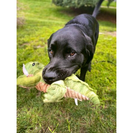 Tall Tails Plush Crunch Gator 15"