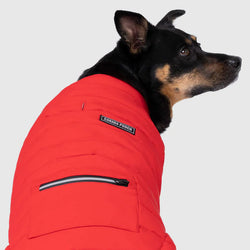 Canada Pooch Ultimate Summit Stretch vest red