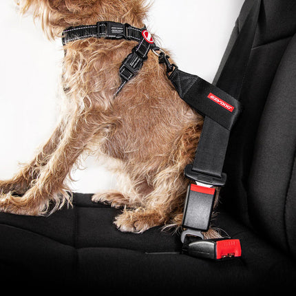 Ezy Dog Car Restraint