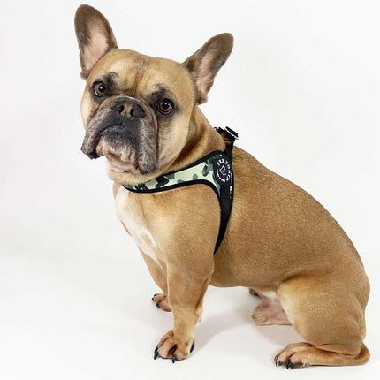 Tre Ponti Adjustable Belly Harness Camo